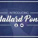 Introducing Mallard Pond
